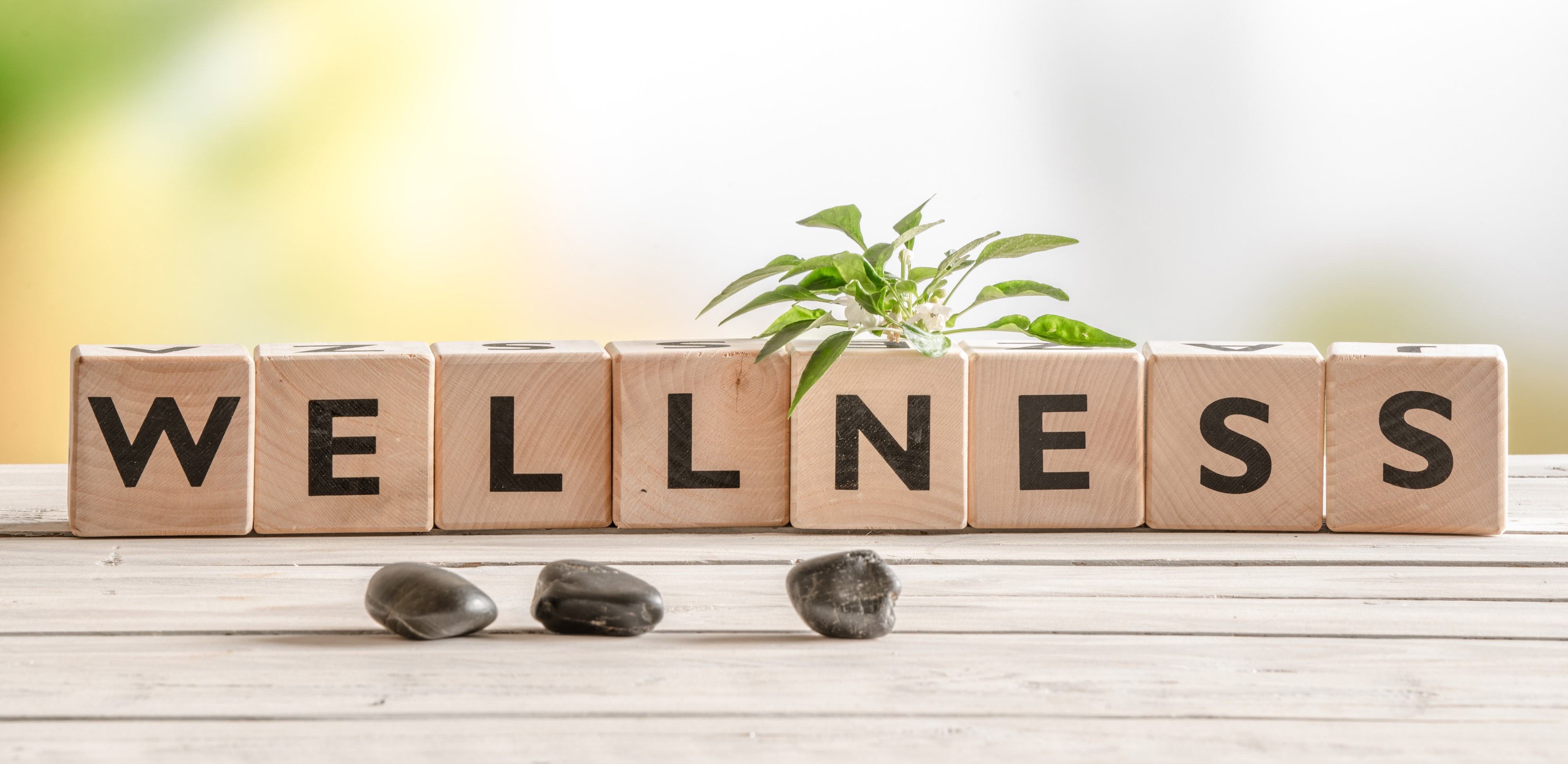 Wooden blocks spelling wellness